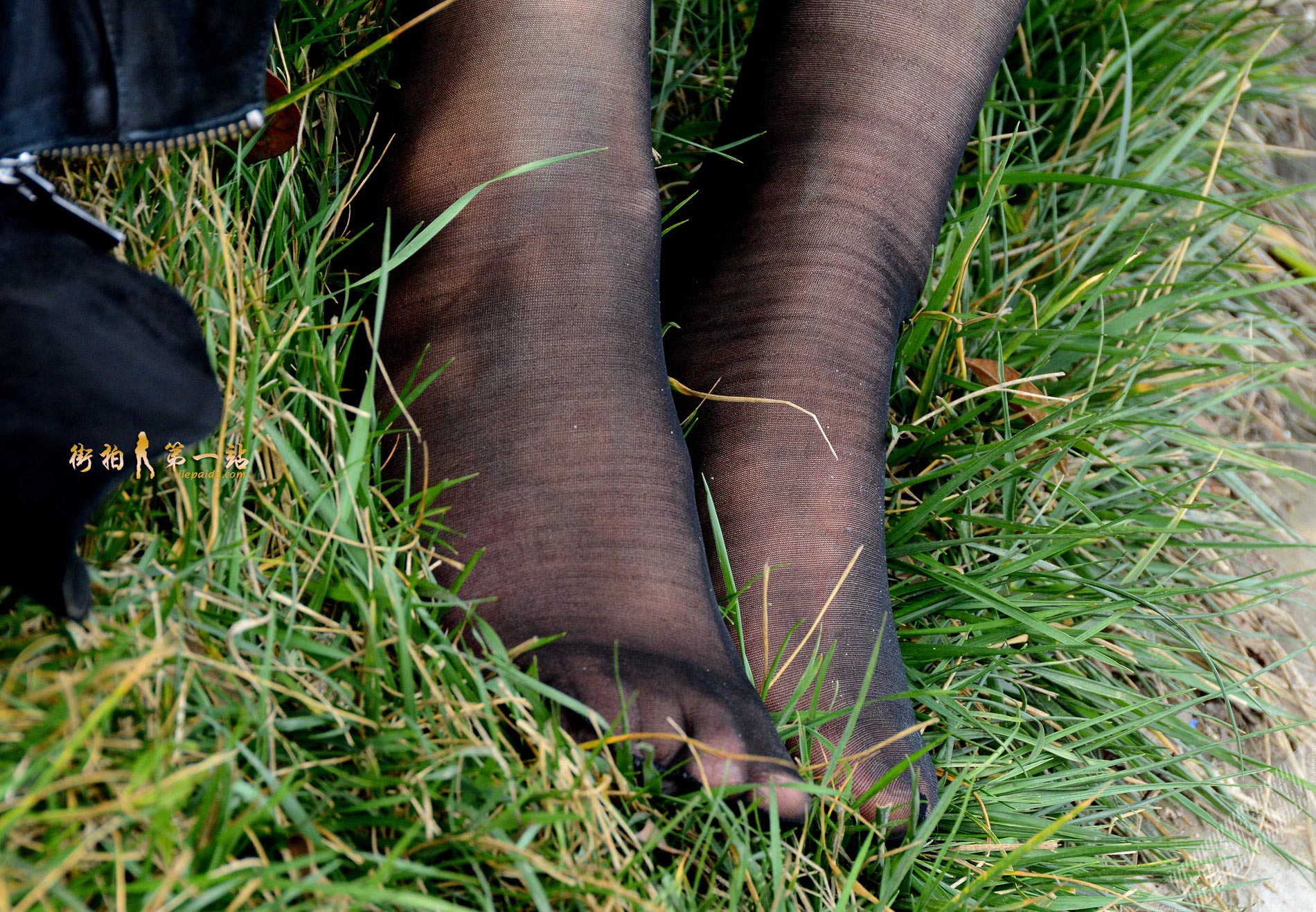 黑丝少妇的丝袜腿特写，露袜根 图1